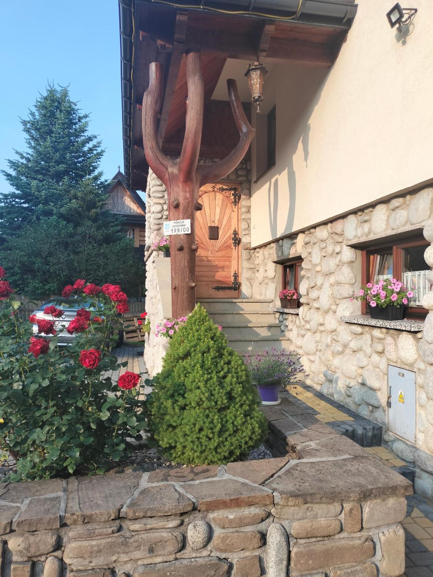 Apartament Rojka 자코파네 외부 사진